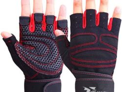 Gym Weight Lifting & Body Building Half Finger Workout Gloves For Men